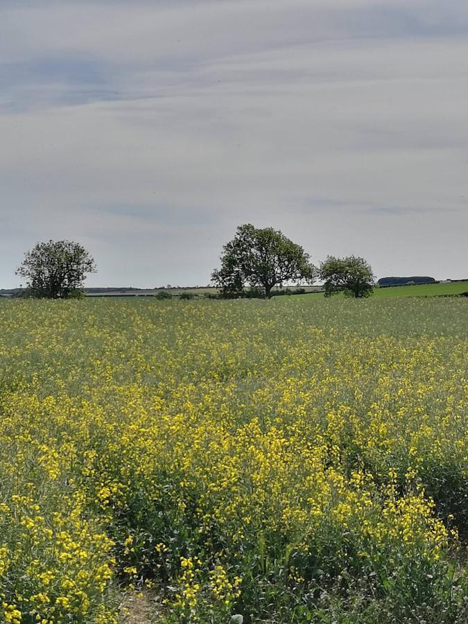 Westmoreland Cottage Weaverthorpe ภายนอก รูปภาพ